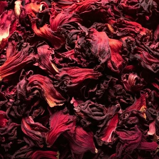 Firefly-dried-hibiscus-flowers-zoomed-in-so-that-there-is-nothing-else-in-the-frame-31922